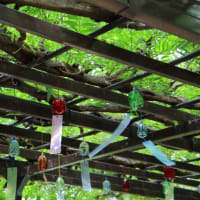 奈加美神社
