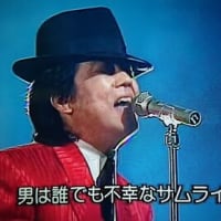 お久しぶり 冬蔵さん Saoの猫日和 お久しぶり 冬蔵さん Saoの猫日和