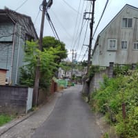☆天空の廃墟・田浦月見台住宅を歩く①