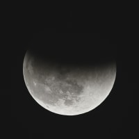 2021年11月19日の月食（証拠写真）