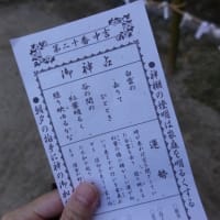 25 ひとり帰国日記/再度、宇治上神社 (Japan Trip Alone 2024 vol.25/Uji-gami Shrine Again) 
