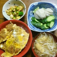 7/2　ばんごはん　かつ丼