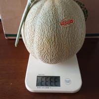 夕張メロンは、やっぱり美味しい～♪