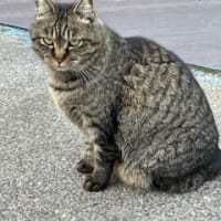 思った以上に寒い毎日