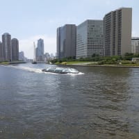 梅雨の晴れ間に通院する。