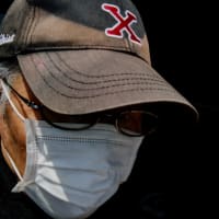 木になる マスクの あれこれ