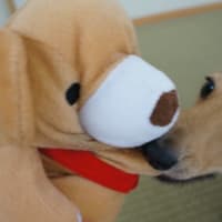 新しいもの好きです