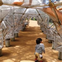 箱根 彫刻の森美術館