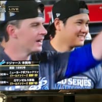 ワーイ　ワーイ＼(^O^)／