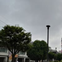 今日の博多３４３　【やっと晴れるか】
