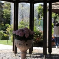 5月の箱根ガラスの森美術館　-2　・・・　Hakone Venetian Glass Museum in May　-2