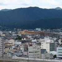 福井県庁屋上から眺望「地区老連、社会参加部会」企画・参加。
