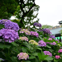 白山神社