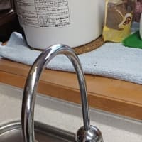１０年ぶり再びビルトイン浄水器の水漏れです・・・