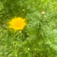 周りの人、こと、物に愛情を注げればありがたい