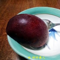はてな？？の正体は・・・・・