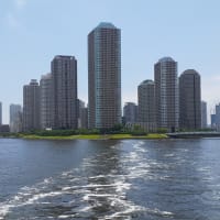 梅雨の晴れ間に通院する。