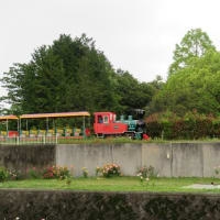 蜂が峯バラ公園