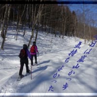 ２回目の嵐山　散策