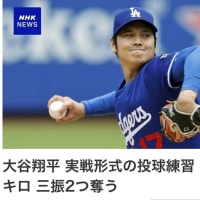 2025年5月26日(月) 体調はなんかイマイチだ…