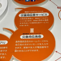 今日は体験を♪