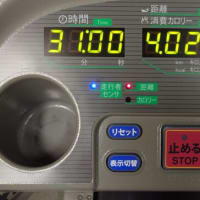 本日の修行