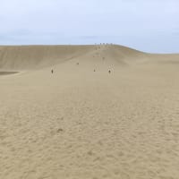 鳥取砂丘