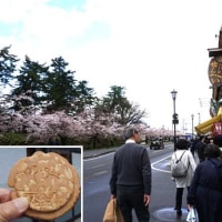 桜花時のみちのく旅４