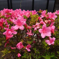 ６月ですね