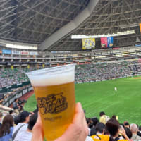 野球観戦⑥