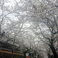 今だけ主人公