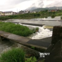 川崎観音　行き帰　2025. 5.17