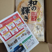 我が家にも政府備蓄米が到着