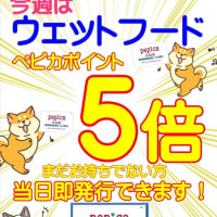 8月もあと1週間！