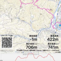 まさに虎さん３連発、何じゃそれ？