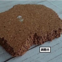 人もインコもダイエットは大変…