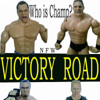 Playback PPV【Victory Road'08】