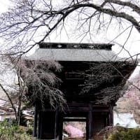 信州杖突峠を越えて勝頼終焉の地「景徳院」へ