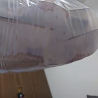 出前館でね