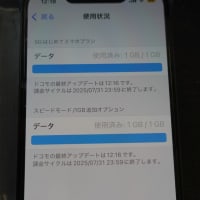 20250703　スマホ初期化ー電話帳消失ー体験記