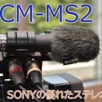 SONY ECM-MS2 レビュー【特別編・音楽収録・SAMPLEあり】 - CAM SONY ECM-MS2 レビュー【特別編・音楽収録・SAMPLEあり】 - CAM