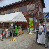 今日、加賀市打越の茶産地で新茶まつり・・・「加賀の紅茶」の製造工程も見学