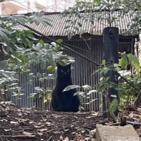3月9日のセッションで