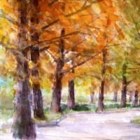 大阪城北公園の１２月