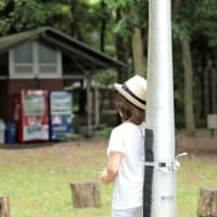 ドールの野外ロケ復活なるか！？