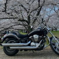 今年も少し楽しめた