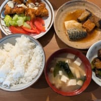 ７月１１日のお弁当