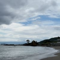 海岸がきれいな秋谷海岸でお散歩
