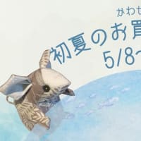 初夏のお買い物フェアのご案内