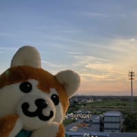 西武線沿線を大特集! 初日のきょうは、 黒田菜月気象リポーターとしゅと犬くんが “ふたり”では初めての鉄道旅へ! 特急ラビューに乗って沿線地域の魅力を満喫します😊